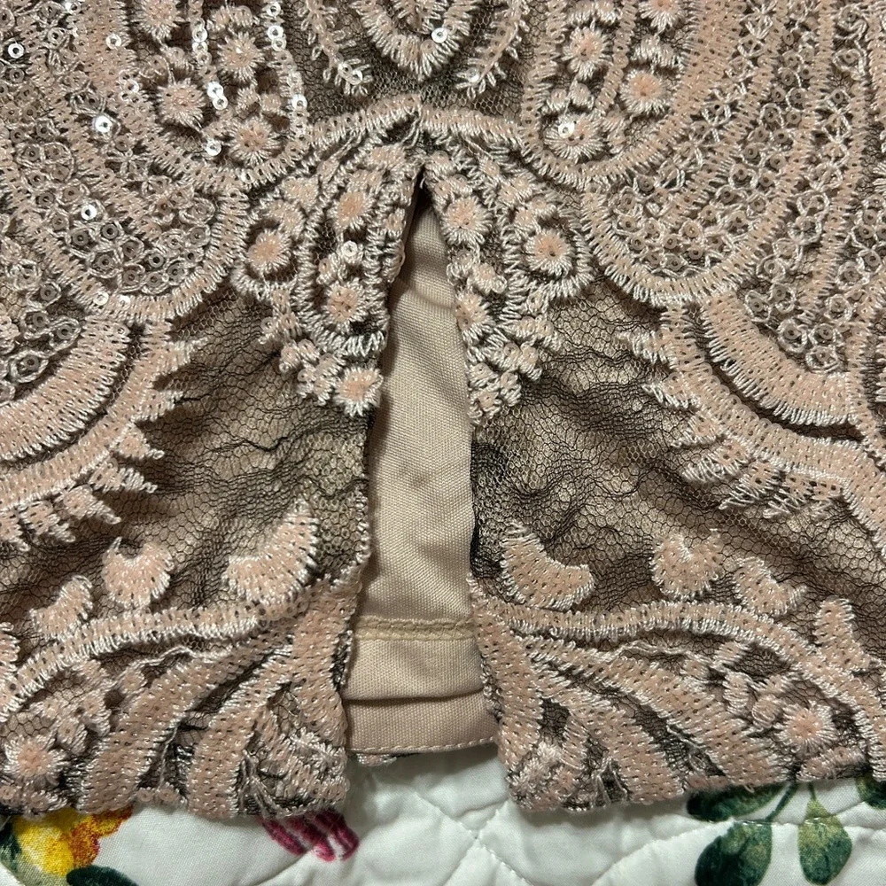 NWT Calvin Klein Taupe Lace and Sequin Midi Dress - Picture 4 of 6